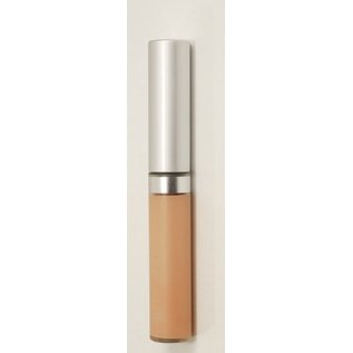 Eyes Sand Wise Disguise Concealer
