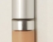 Wise Disguise Concealer Wand