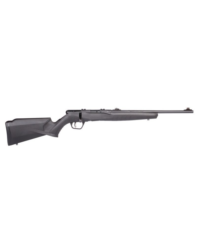 Savage Arms Savage B22 F 22LR Compact 19"barrel Syn/Blued (70214)