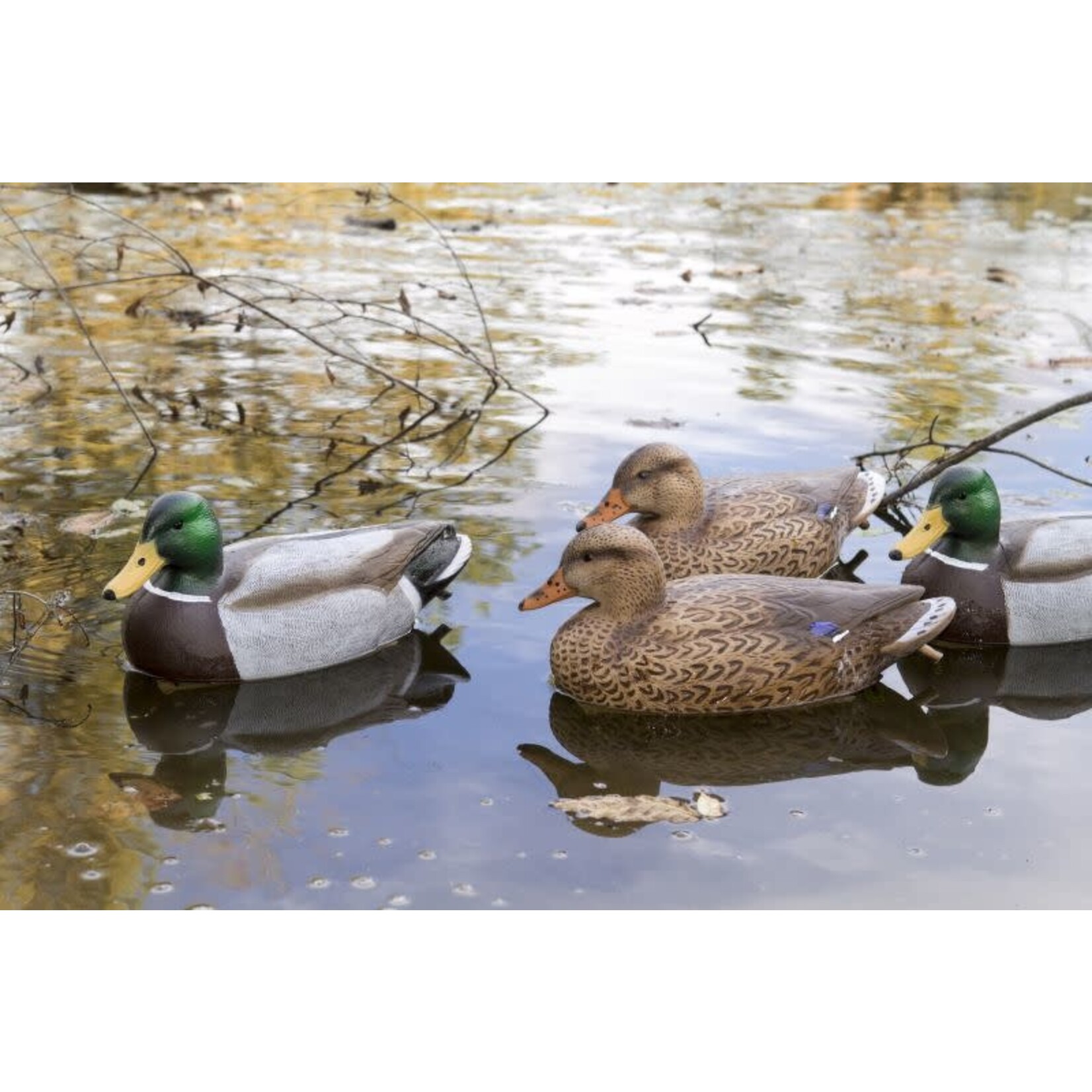 Flambeau Flambeau Storm Front 2 Classic Floater Mallard decoys 6pk (8036SUV)
