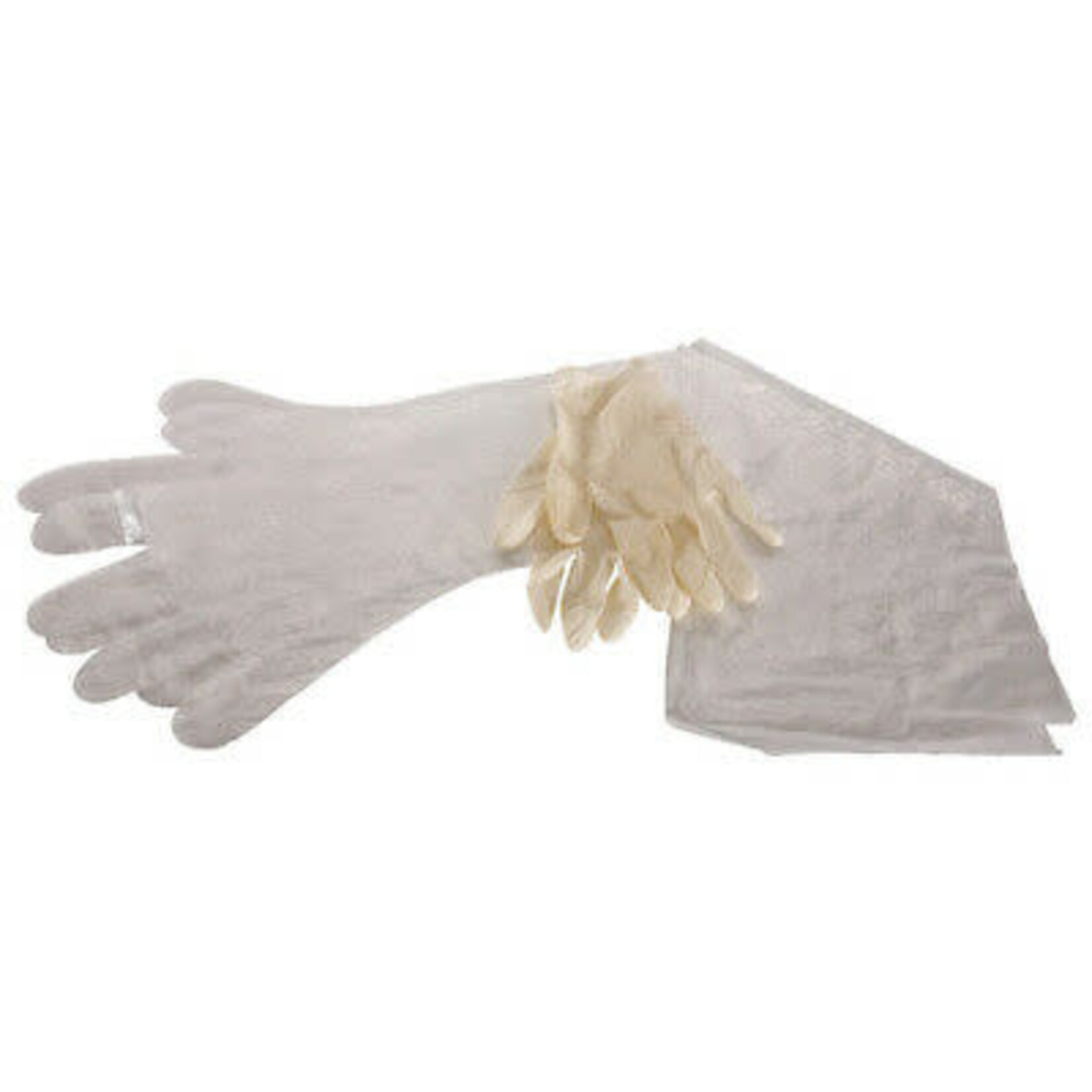 Allen Allen 51  Field Dressing Gloves  1 Pr Each Latex Surgical