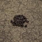 GrovTec Grovtec Black Chicago Screw