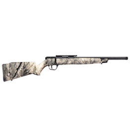 Savage Arms Savage B22 FV-SR Overwatch 22LR (70247)