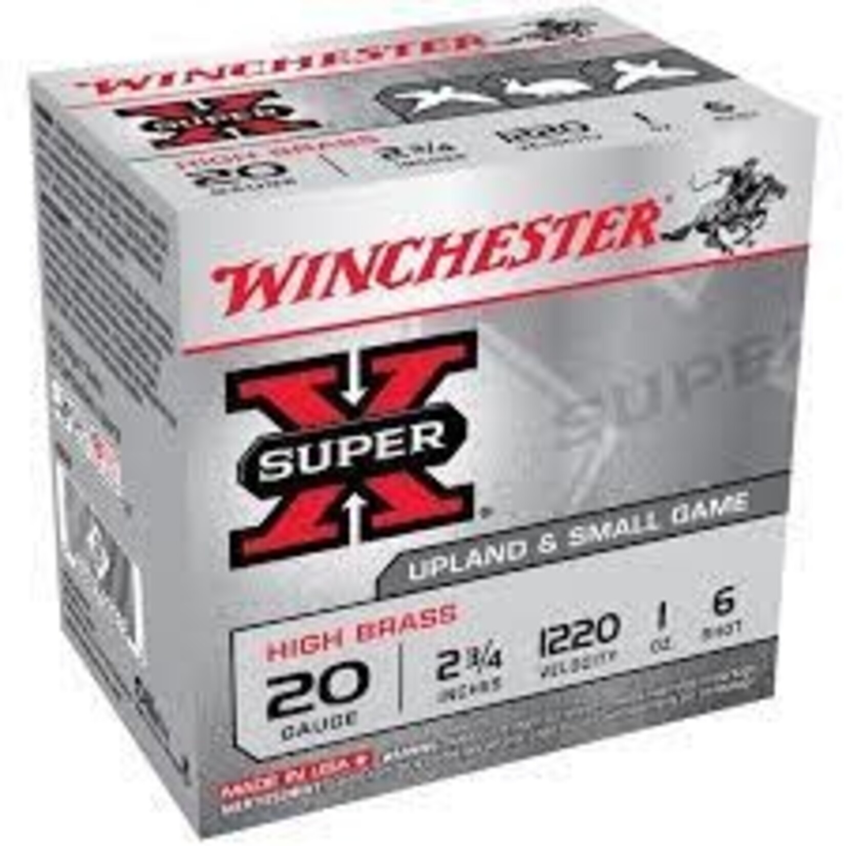 Winchester Winchester Super X 20ga 2 3/4", 3/4oz #6 Steel (WE20GT6)