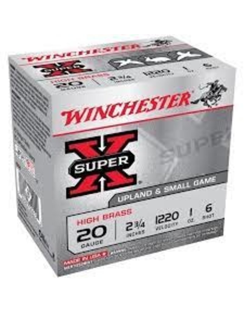 Winchester Winchester Super X 20ga 2 3/4", 3/4oz #6 Steel (WE20GT6)