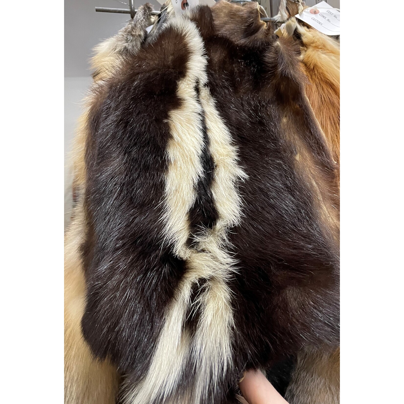 CS Tanned Skunk Fur