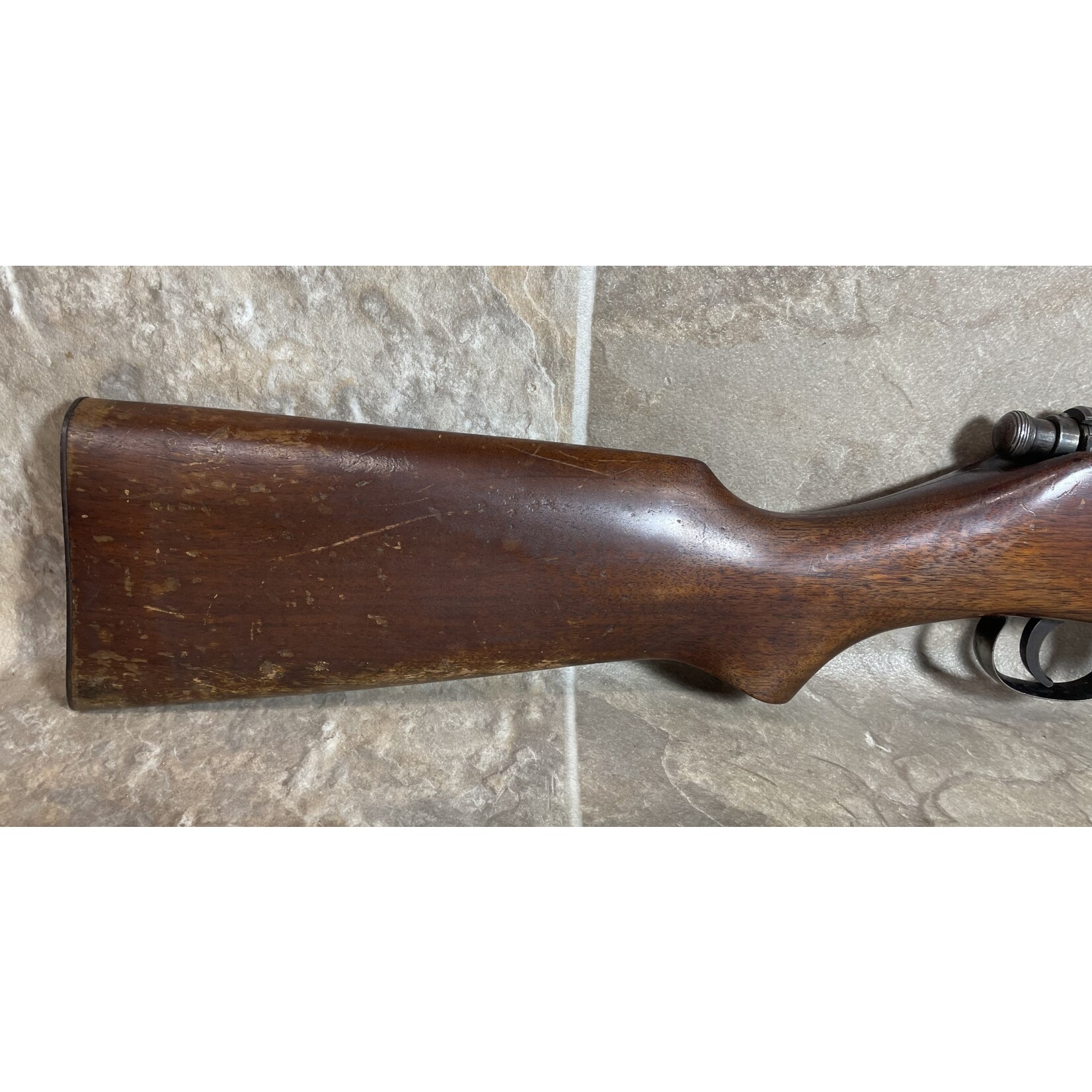 Used Savage Sporter 22LR (53893)