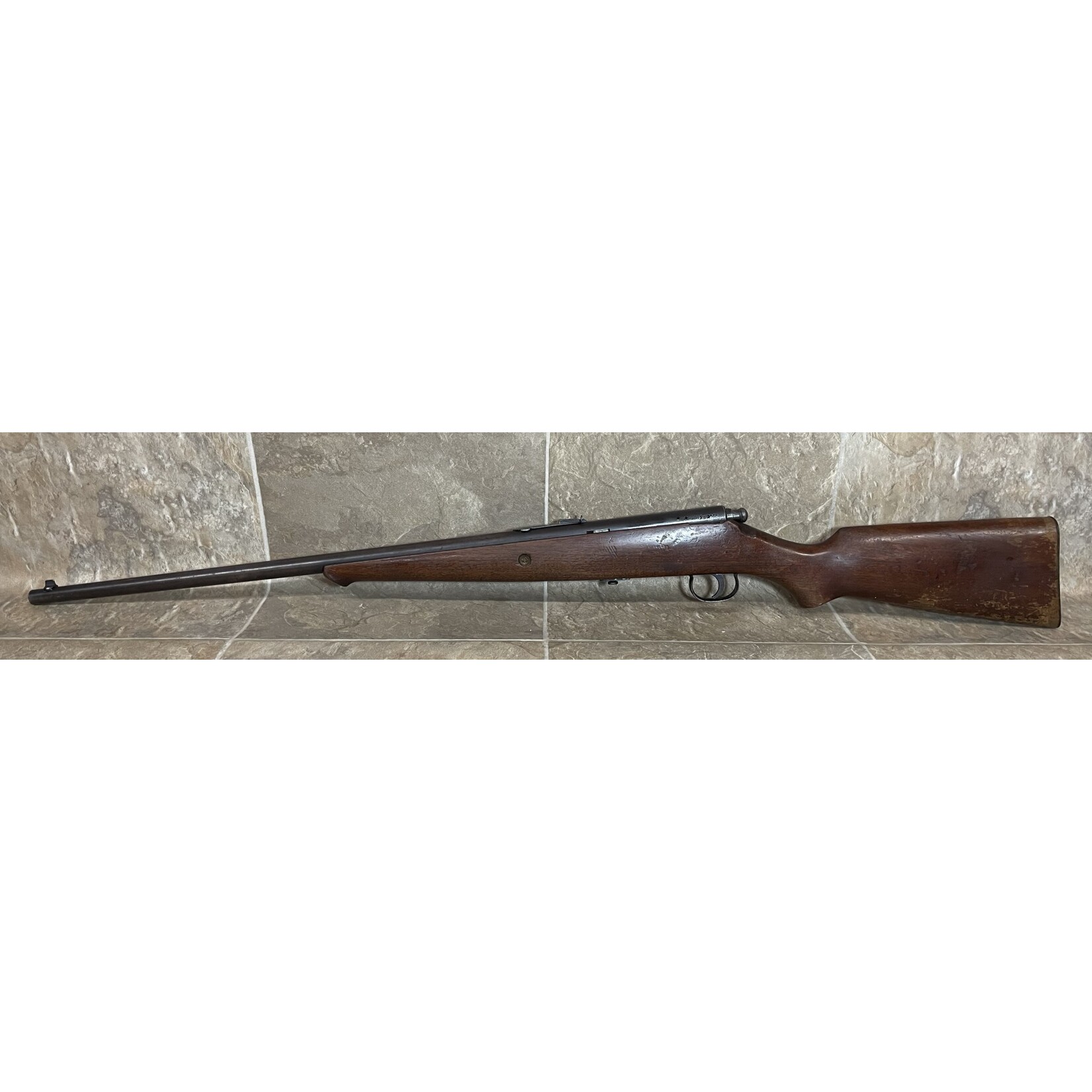 Used Savage Sporter 22LR (53893)