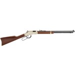 Henry Henry Golden Boy 17HMR 20" (H004V)