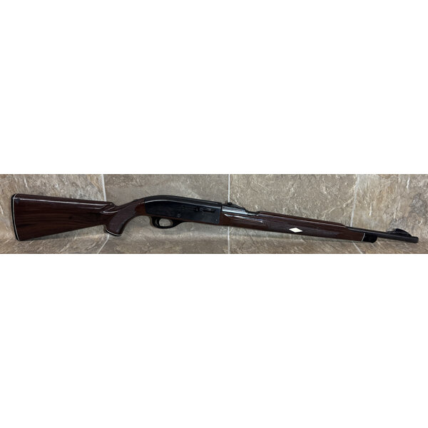 Used Nylon Model 66 22LR (2546127) — Eagle Firearms