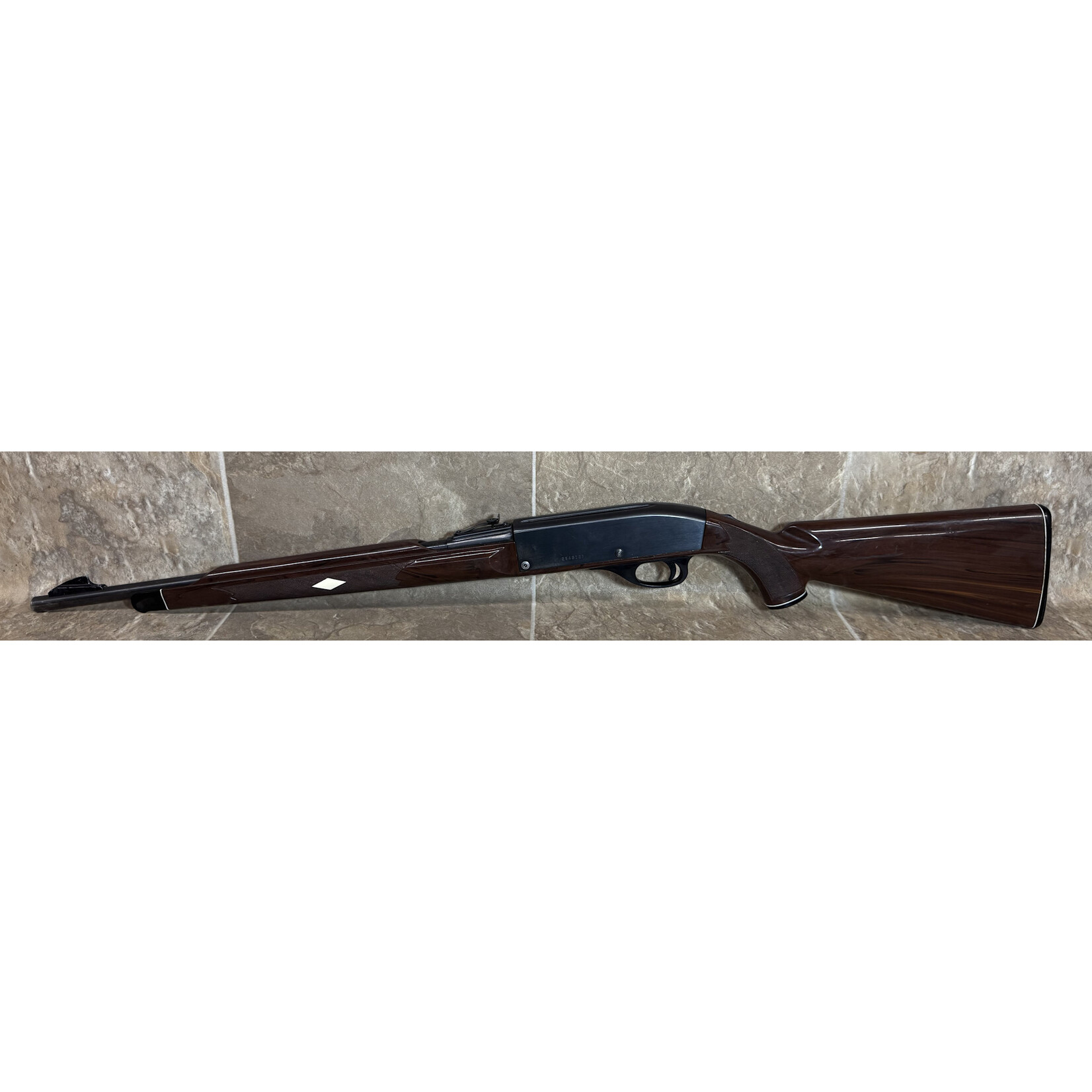Used Nylon Model 66 22LR (2546127)