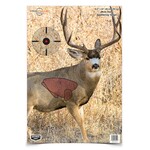 Birchwood Casey Pregame Splattering Deer Target (35401)