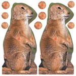 Birchwood Casey Shoot-N-C Prairie Chuck Target (34786)
