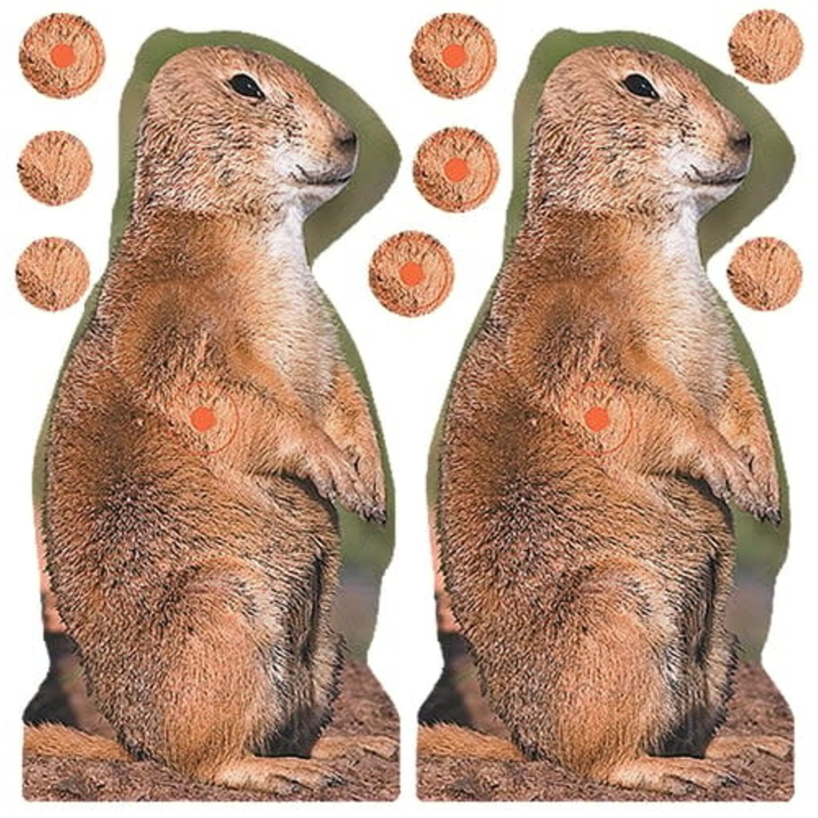 Birchwood Casey Shoot-N-C Prairie Chuck Target (34786)