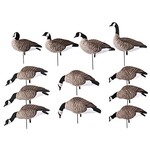 GHG GHG Lesser FB Canada Goose Harvester Decoy 12pk