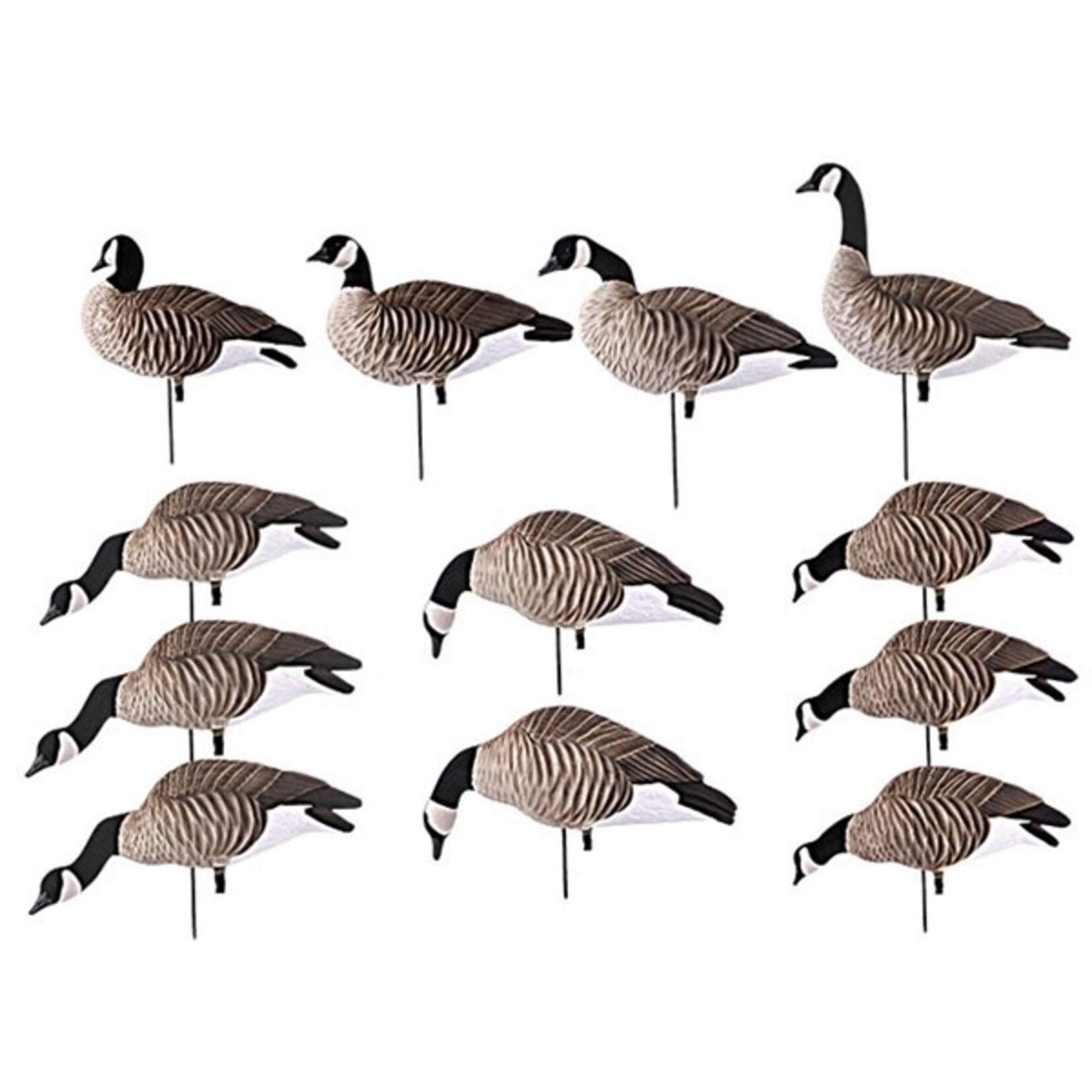 GHG GHG Lesser FB Canada Goose Harvester Decoy 12pk