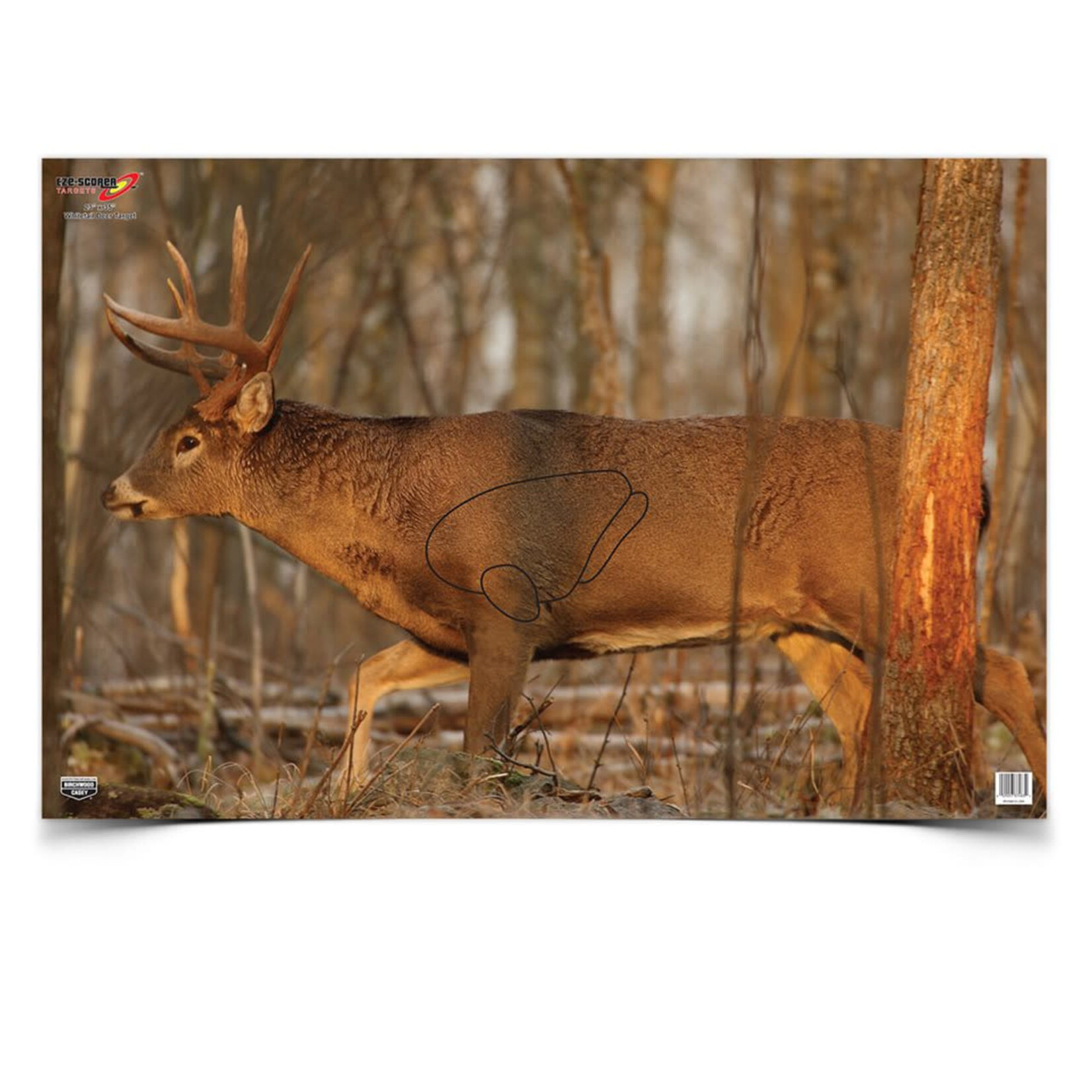Birchwood Casey Birchwood Casey Eze-Scorer Whitetail Deer 23"x35" 2pk (37481)