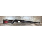 Savage Arms Savage B22 G 22 LR 21" (70210)