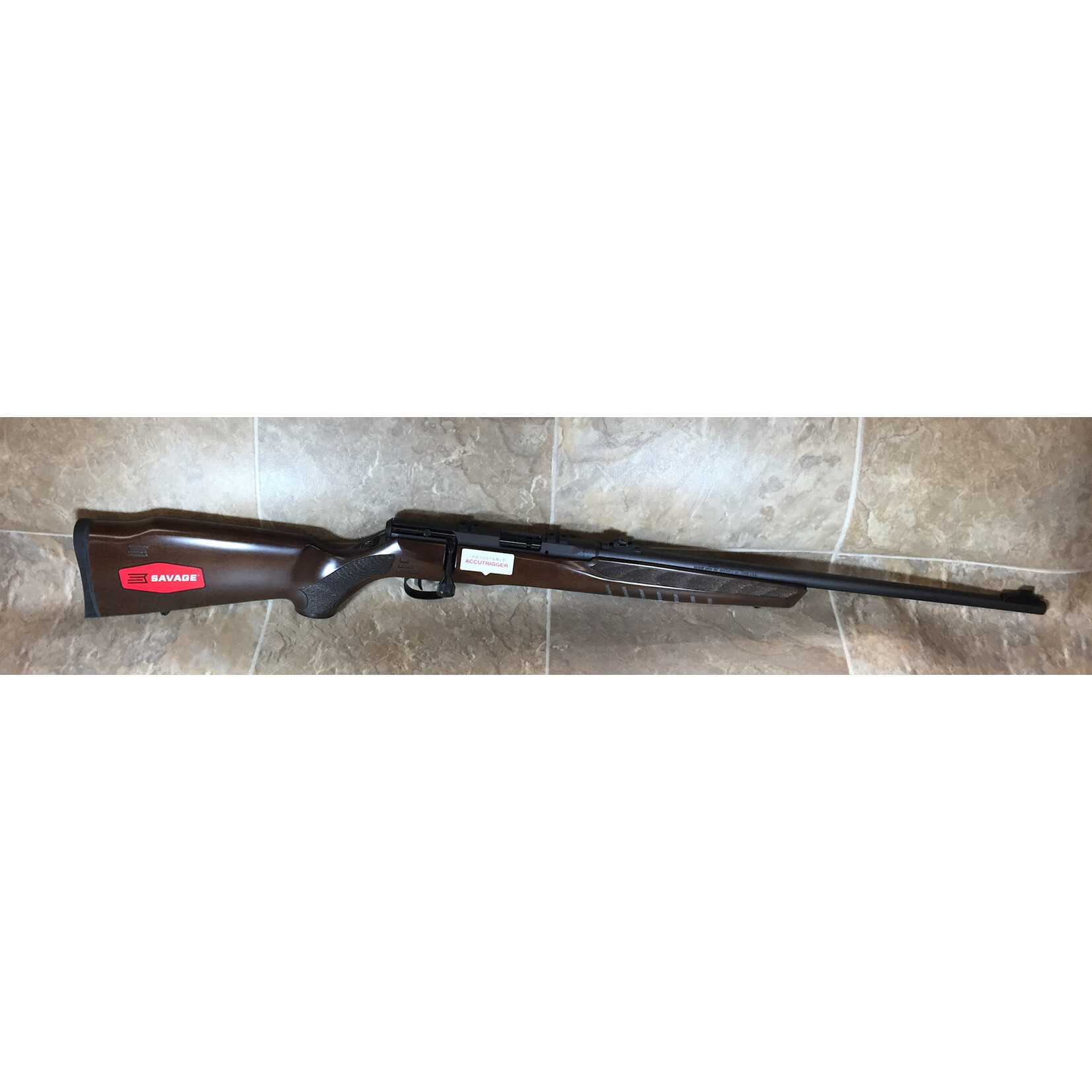 Savage Arms Savage B22 G 22 LR 21" (70210)