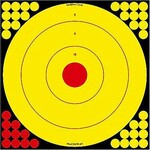 Birchwood Casey Birchwood Casey Long Range Bullsye Target 5pk.
