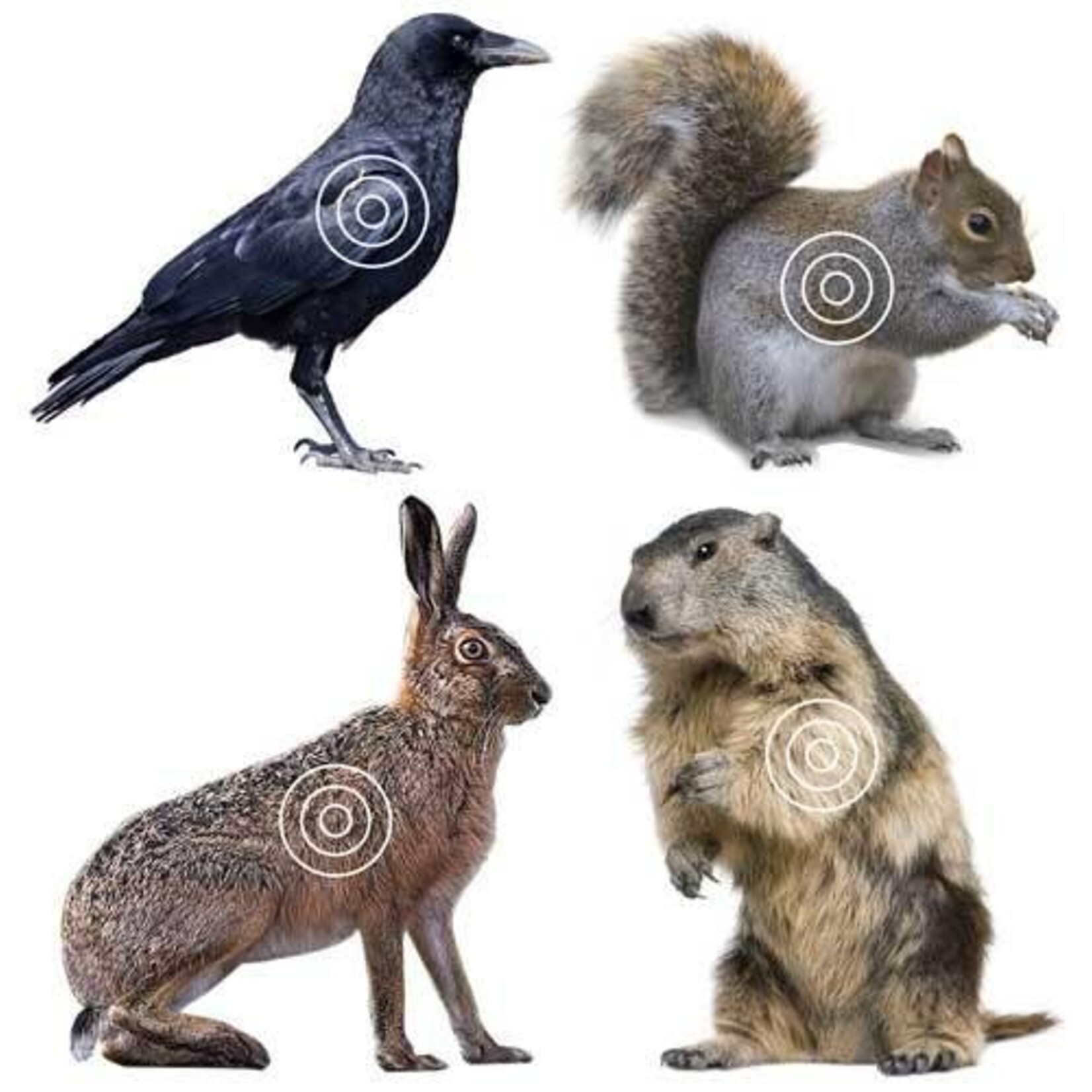 Lyman Lyman Auto Advance Varmint Target