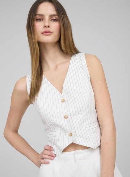The Workshop Pinstripe Button Down Back Tie Vest