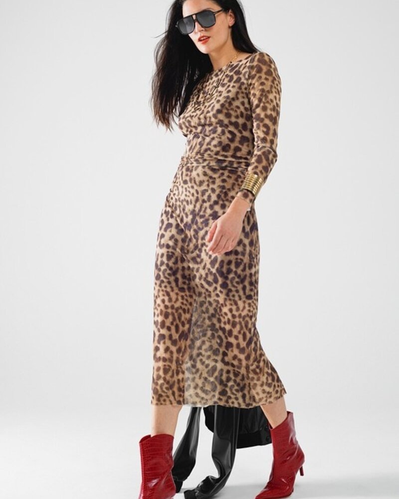 Q2 Sheer Leopard Print Bodycon Midi Dress