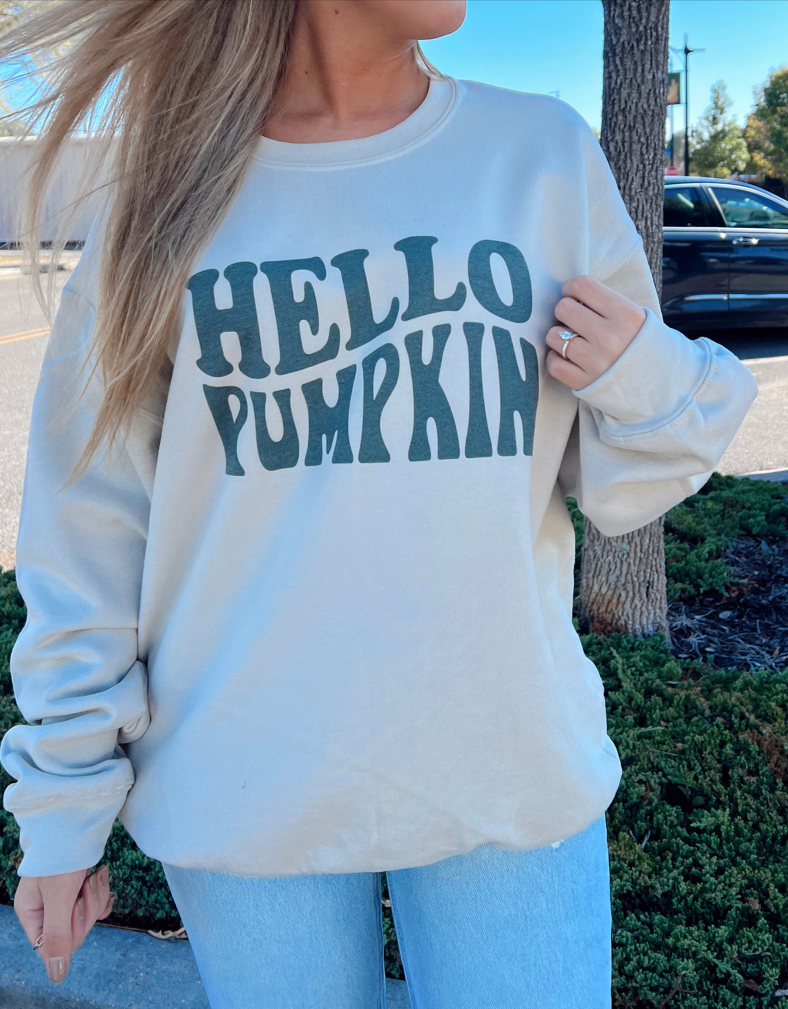 Hello pumpkin sweatshirt