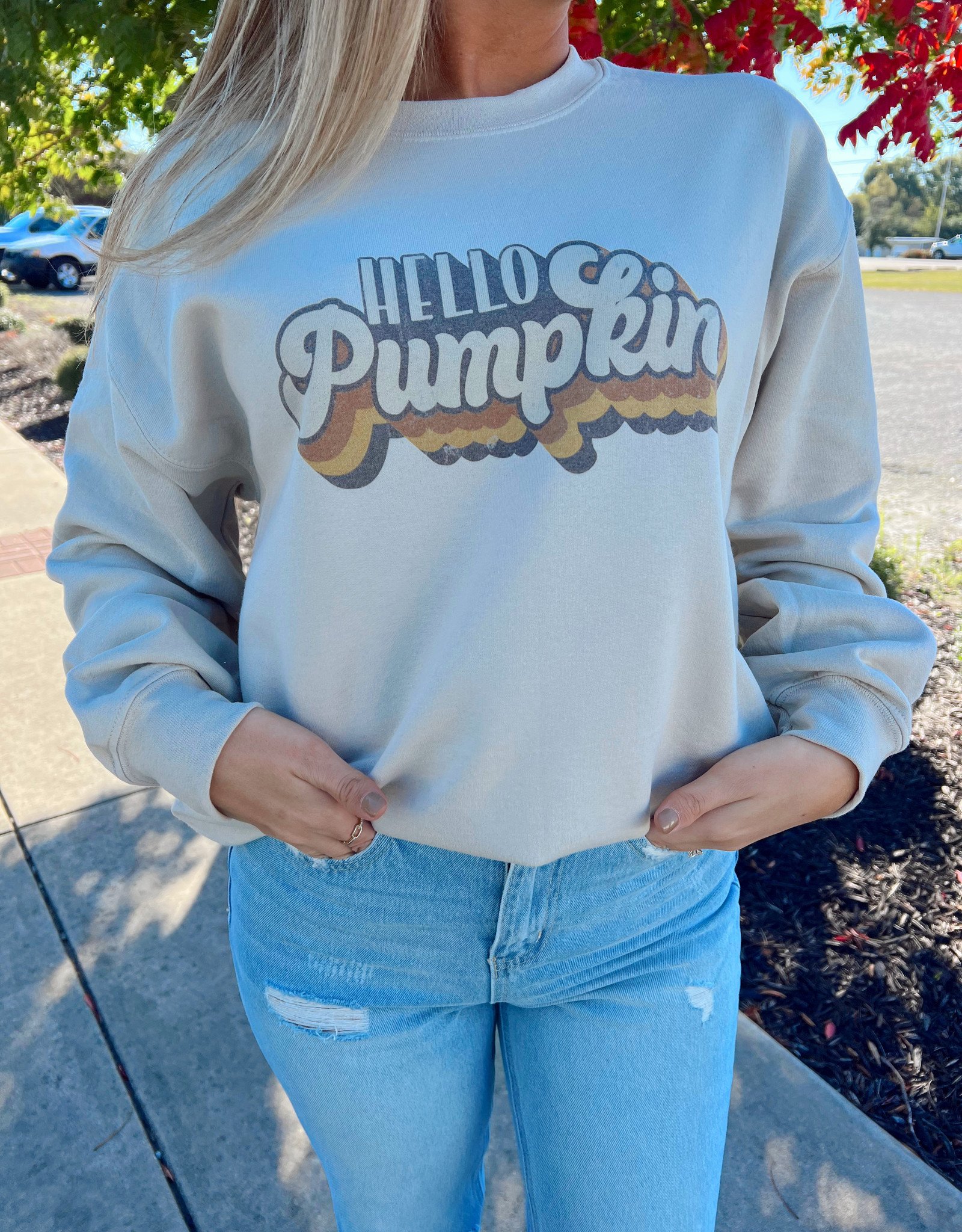 Vintage pumpkin sweatshirt