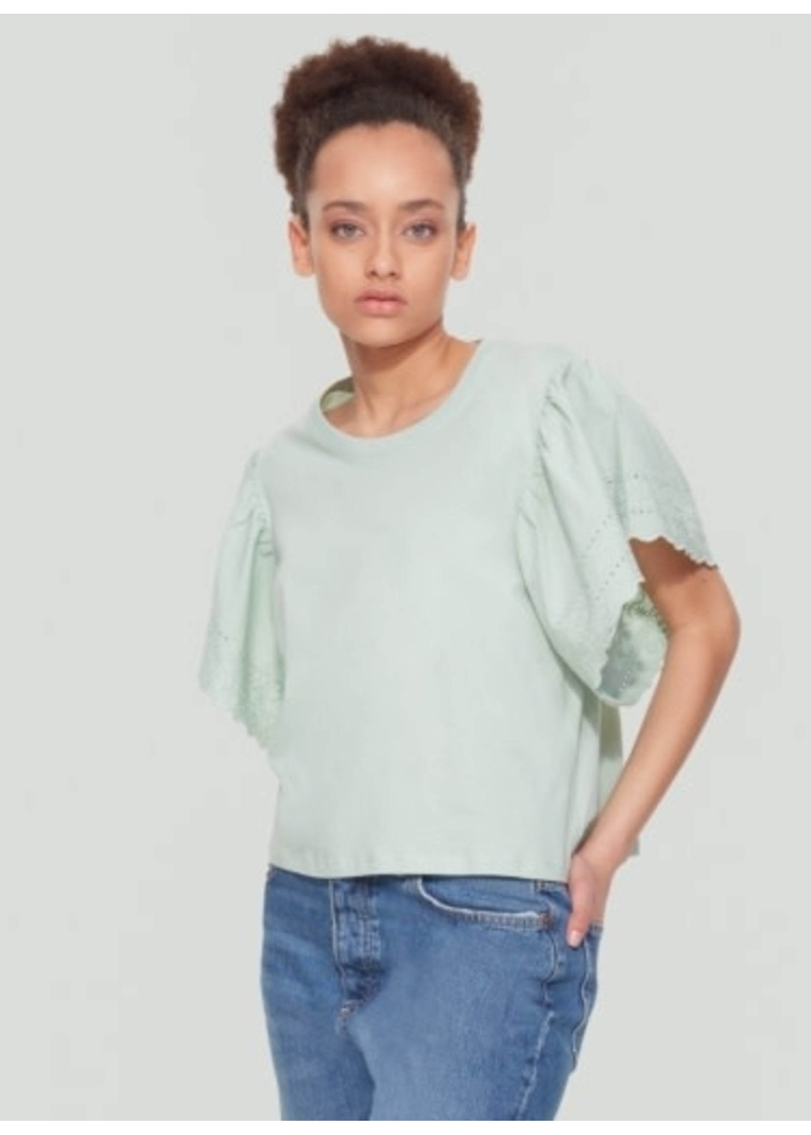 Dex Clothing Embroidered Sleeve Top