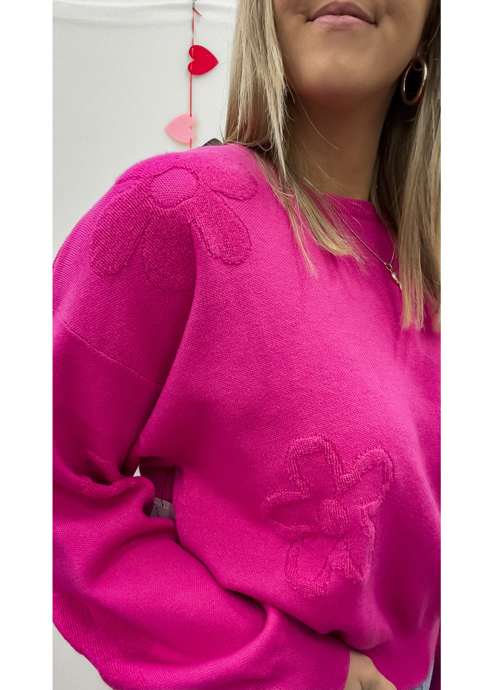 Chenille Embroidered Sweater