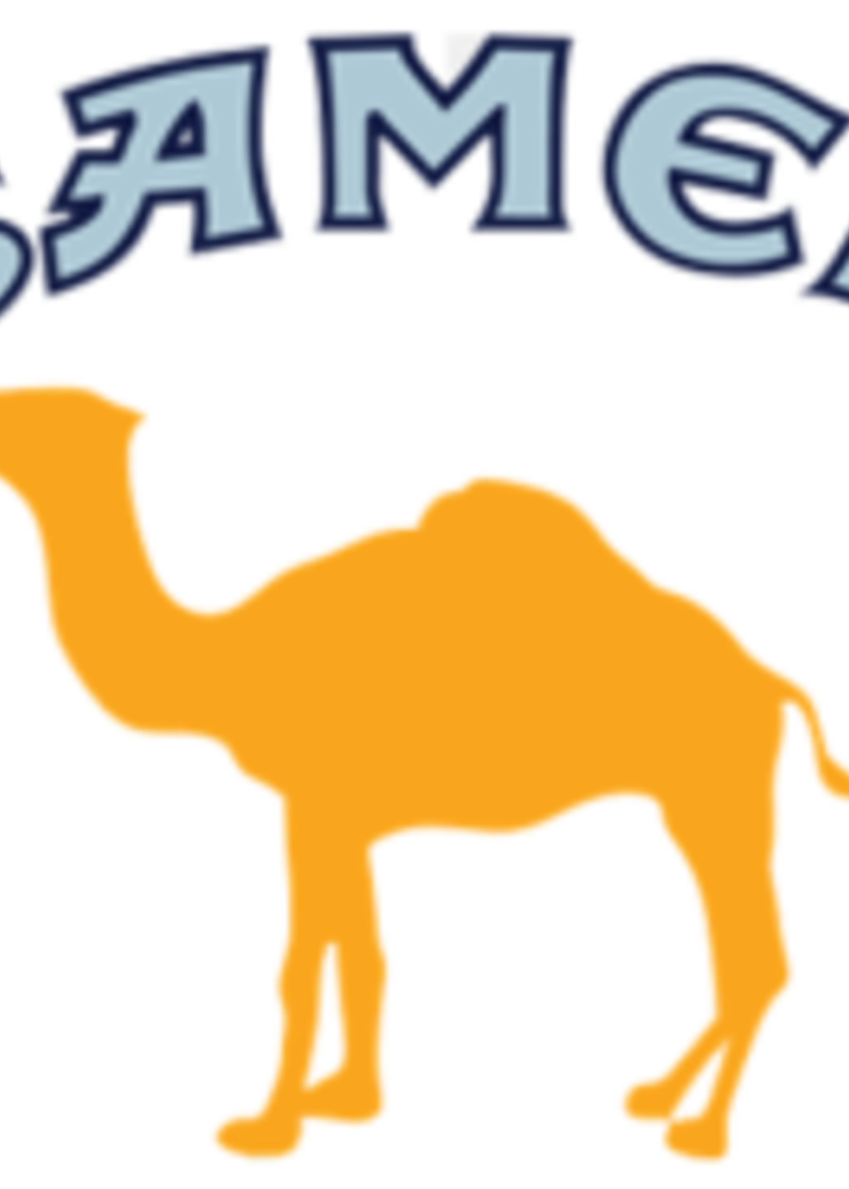 Camel King Cigarettes Camel King Box-Blue