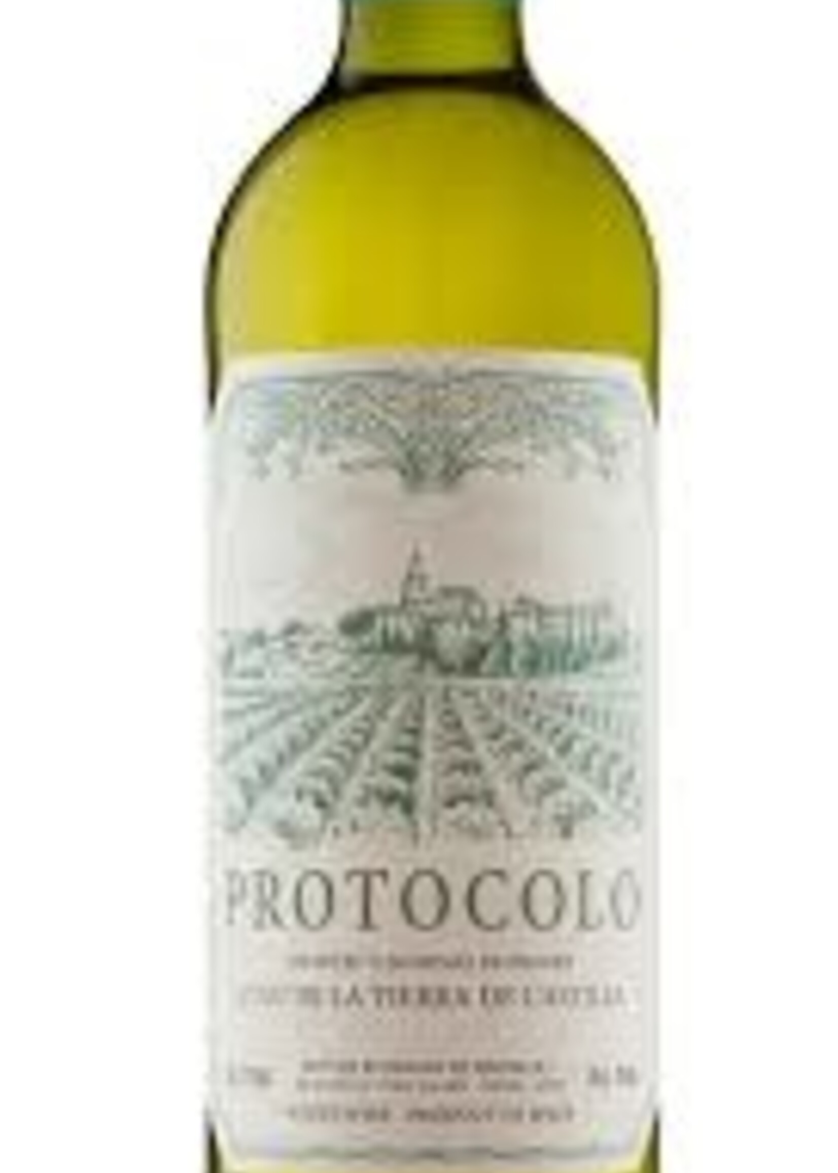 Protocolo Protocolo Blanco