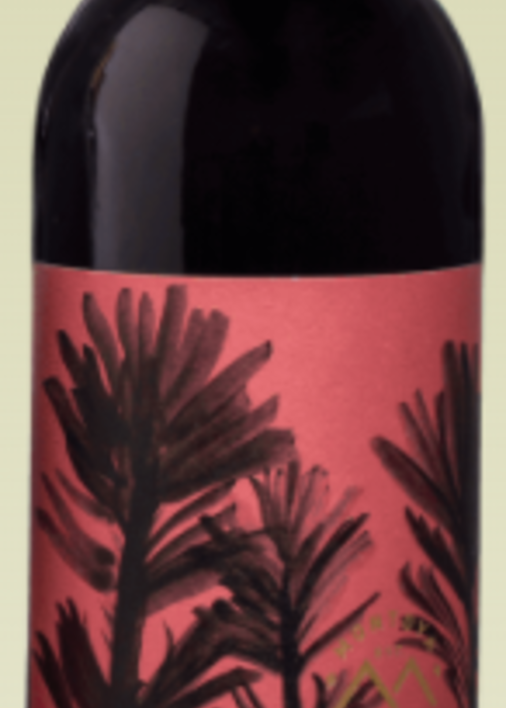 Montoya Montoya Cabernet Sauvignon