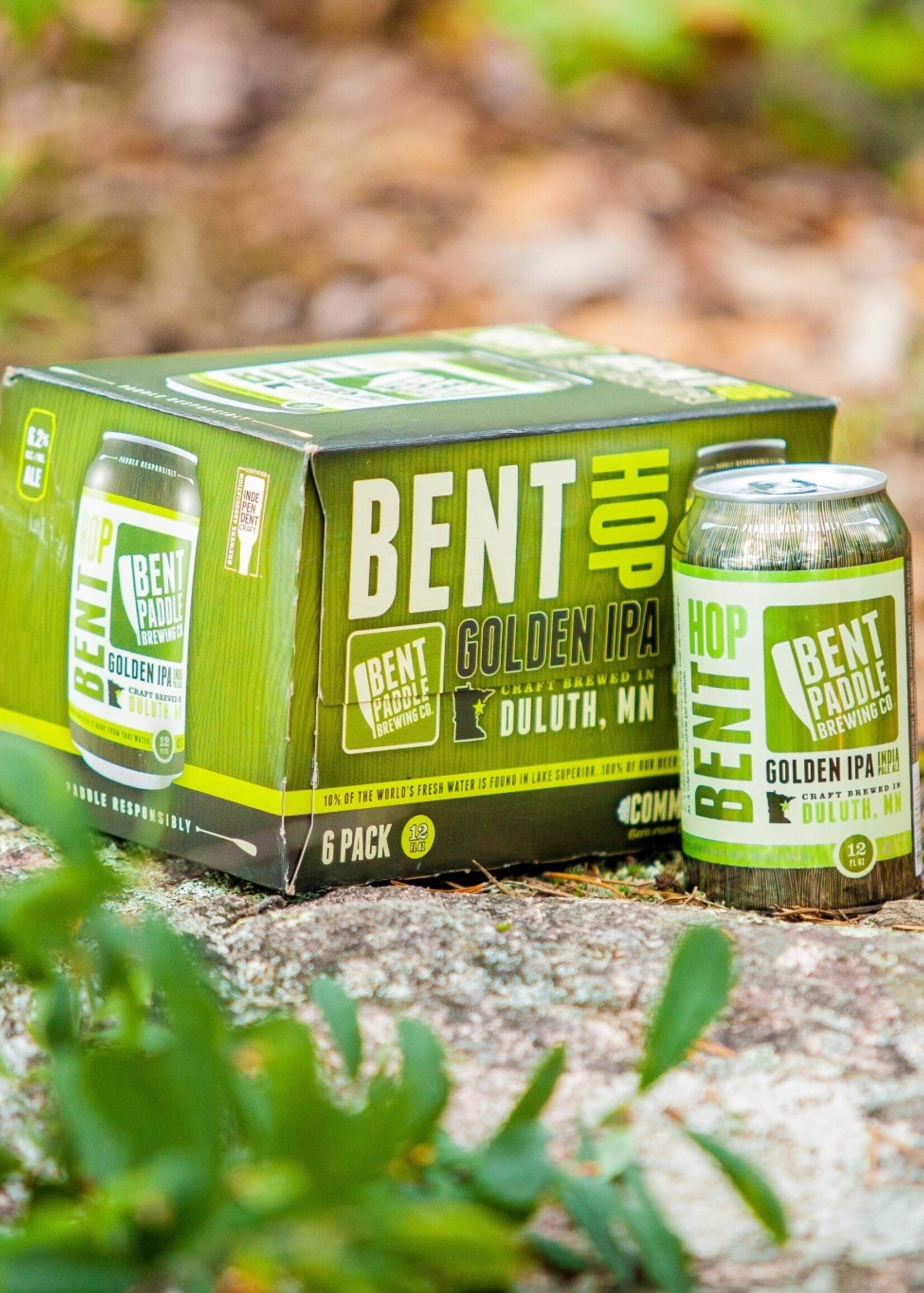 Bent Paddle Brewing Bent Paddle Bent Hop 6 can