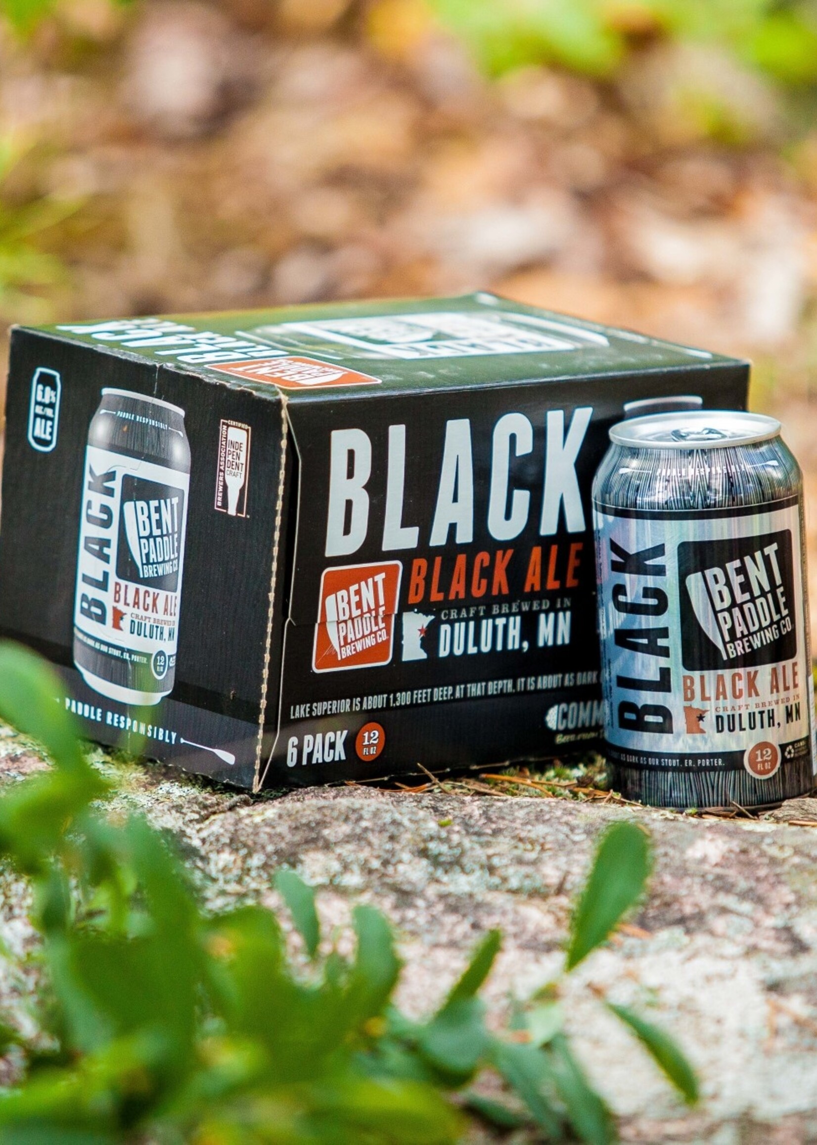 Bent Paddle Brewing Bent Paddle Black 6 can