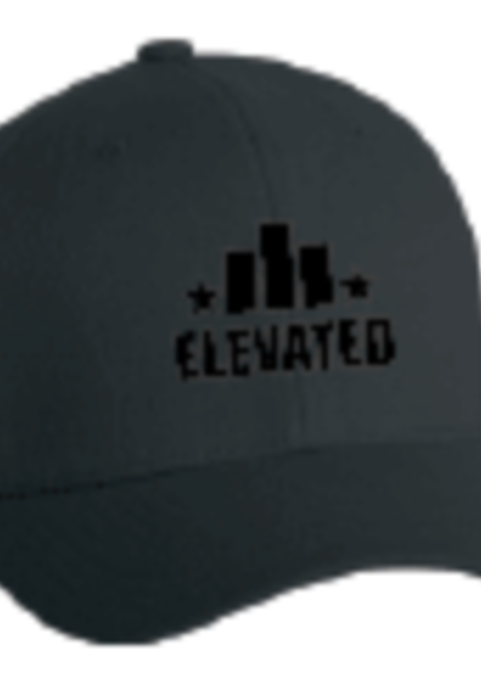 Elevated Elevated Hat Center Logo