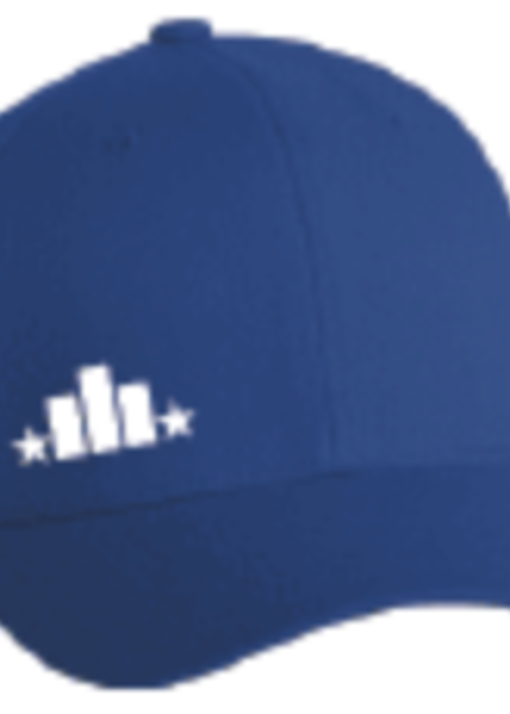 Elevated Elevated Hat Side Logo