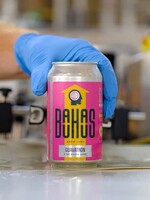 Bauhaus Bauhaus Guavatron 6 can