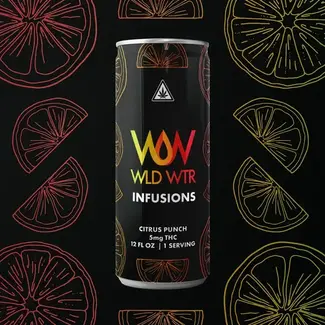wild mind WLD WTR Infusions: Citrus Punch 5mg THC 4 can