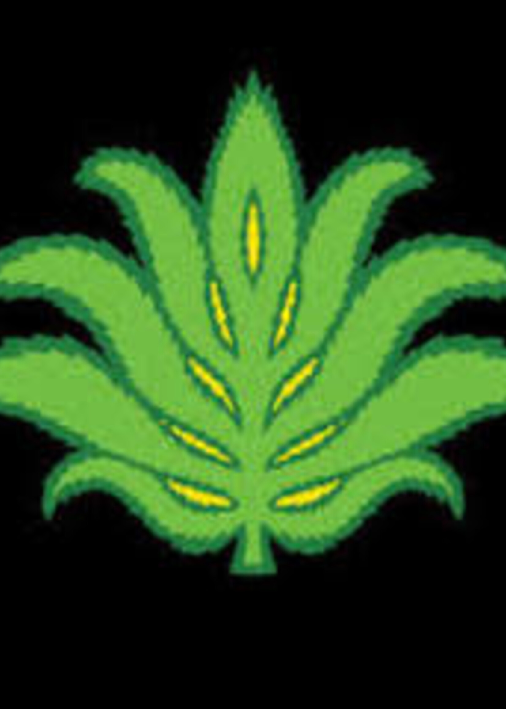Lupulin Smazey Juice Mango Pineapple 10MG THC 4 can