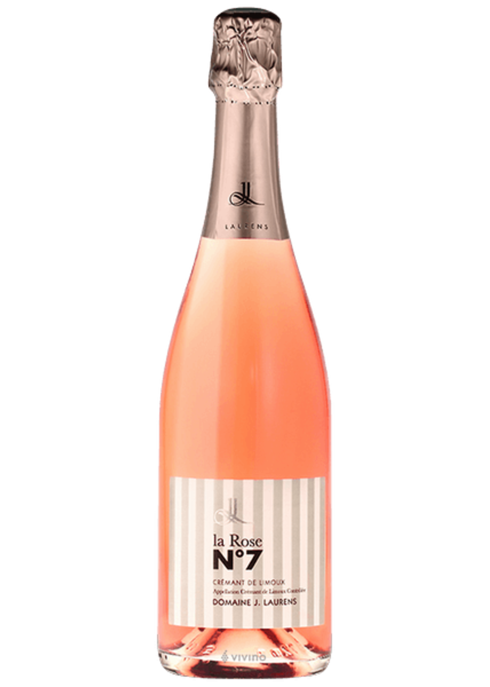 J. Laurens Rose No. 7