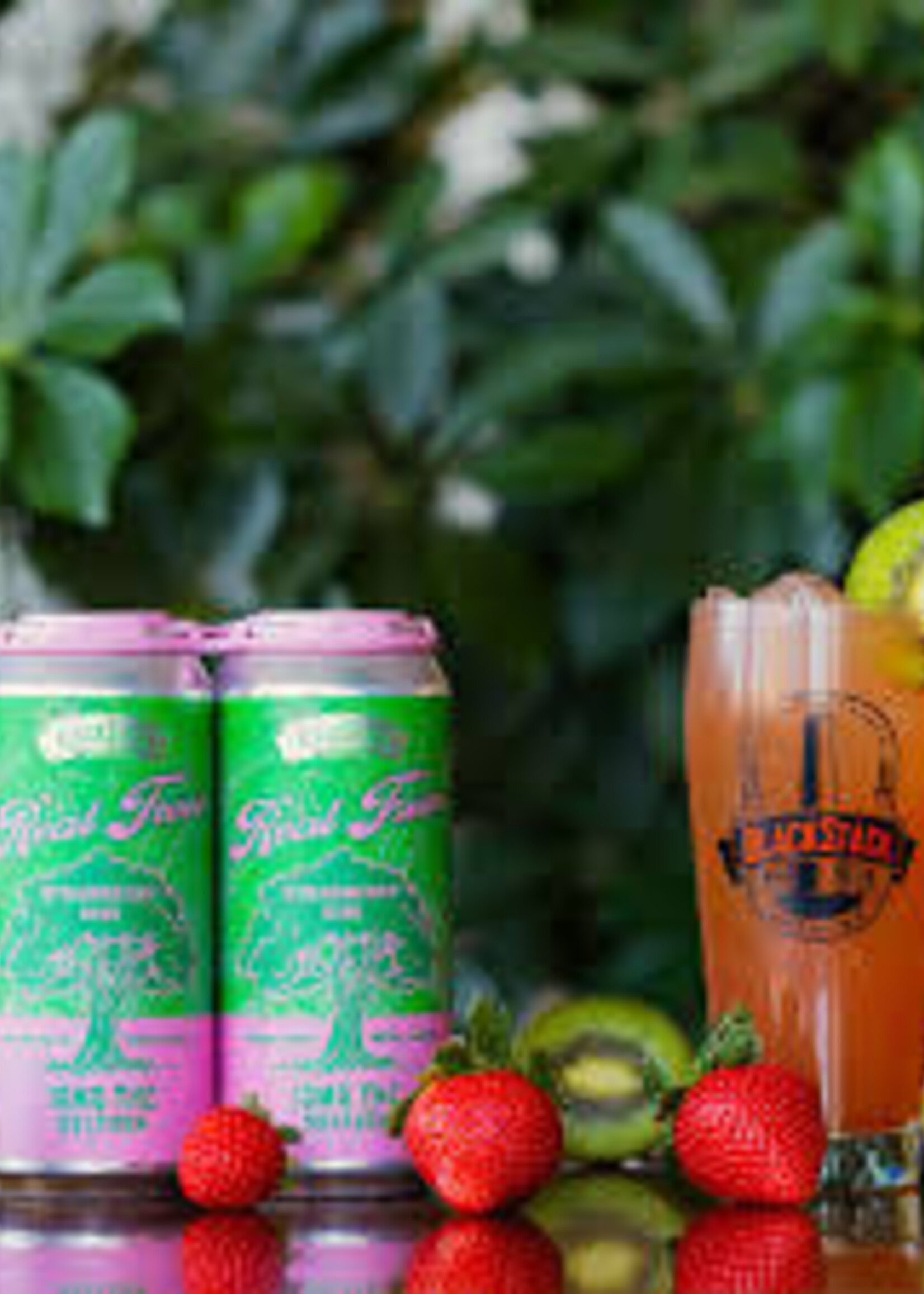 Blackstack Blackstack Real Trees Strawberry Kiwi 10MG THC 4 can