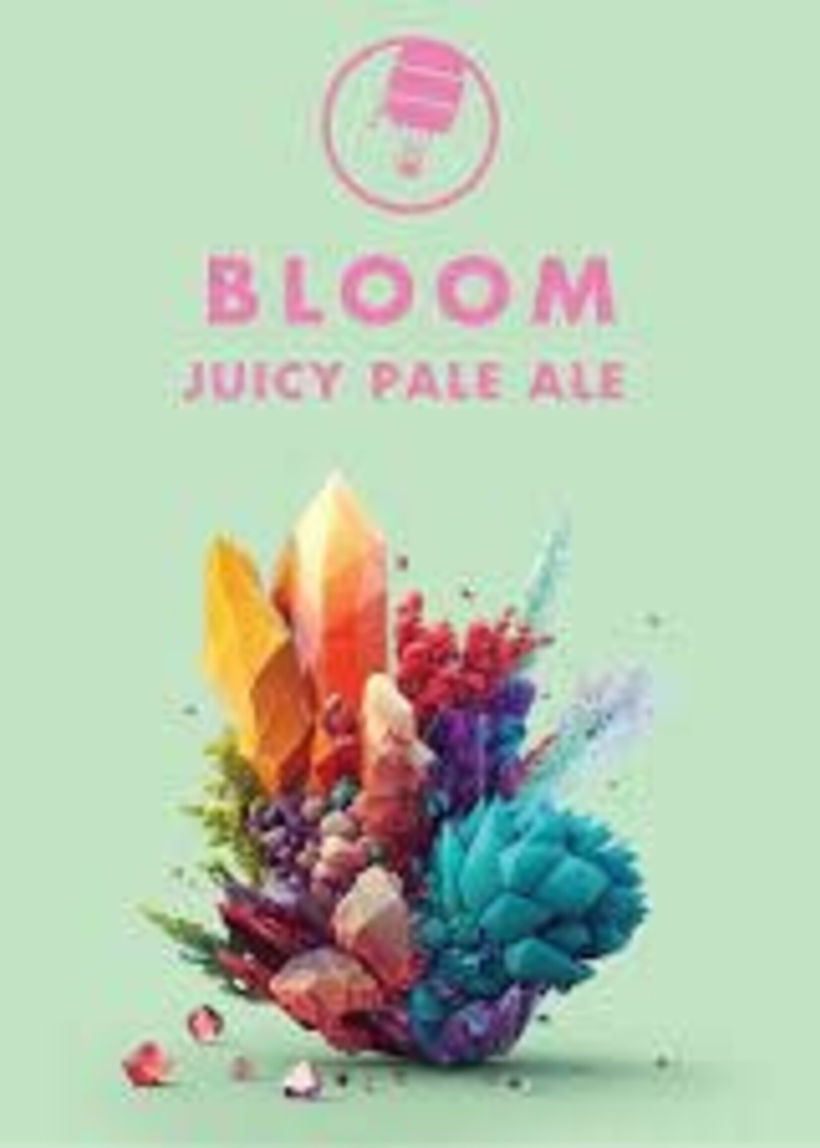 Insight Insight Bloom Juicy Pale Ale 4 can