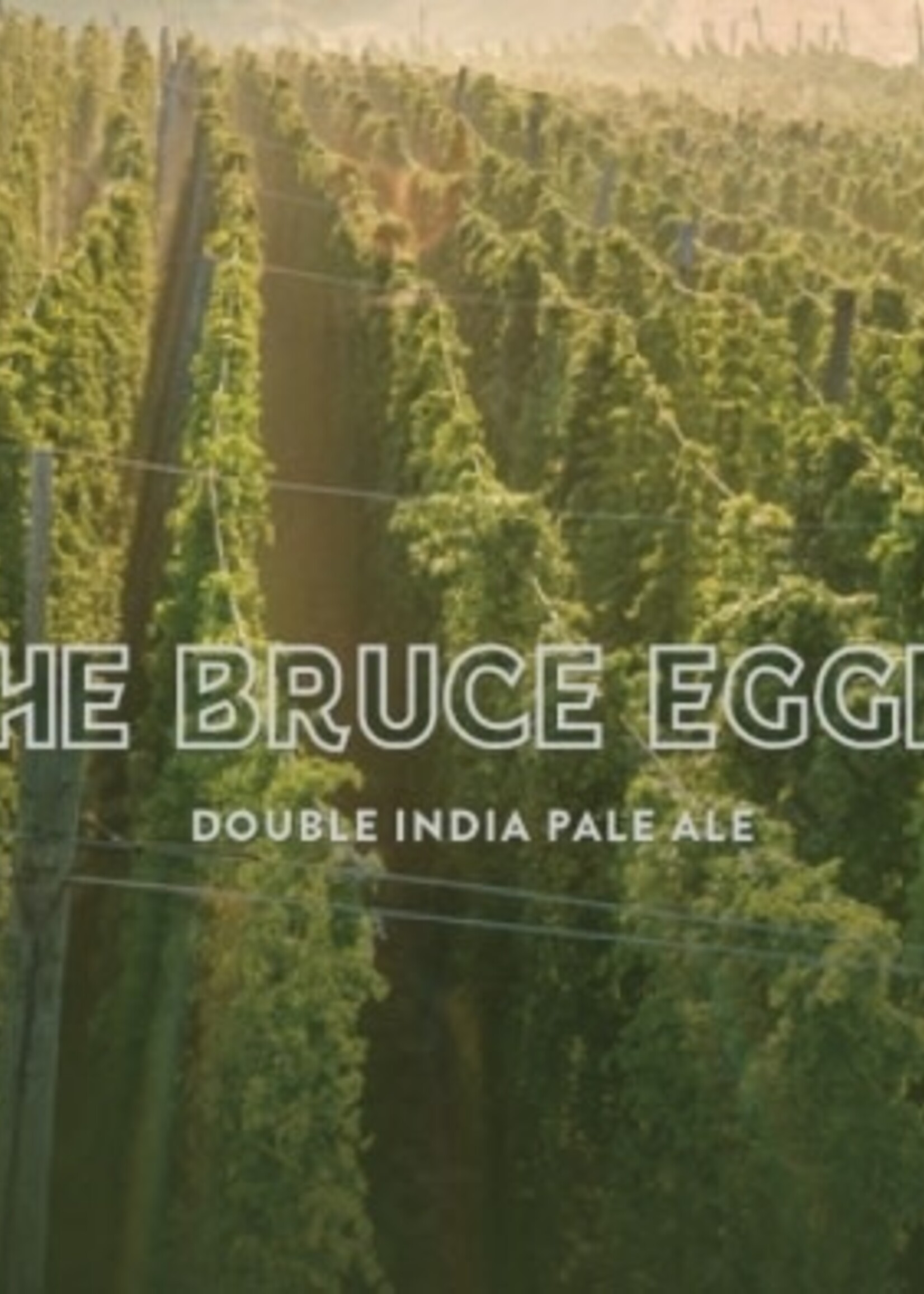 Mortalis Mortalis Brewing The Bruce Egger DIPA 4 can