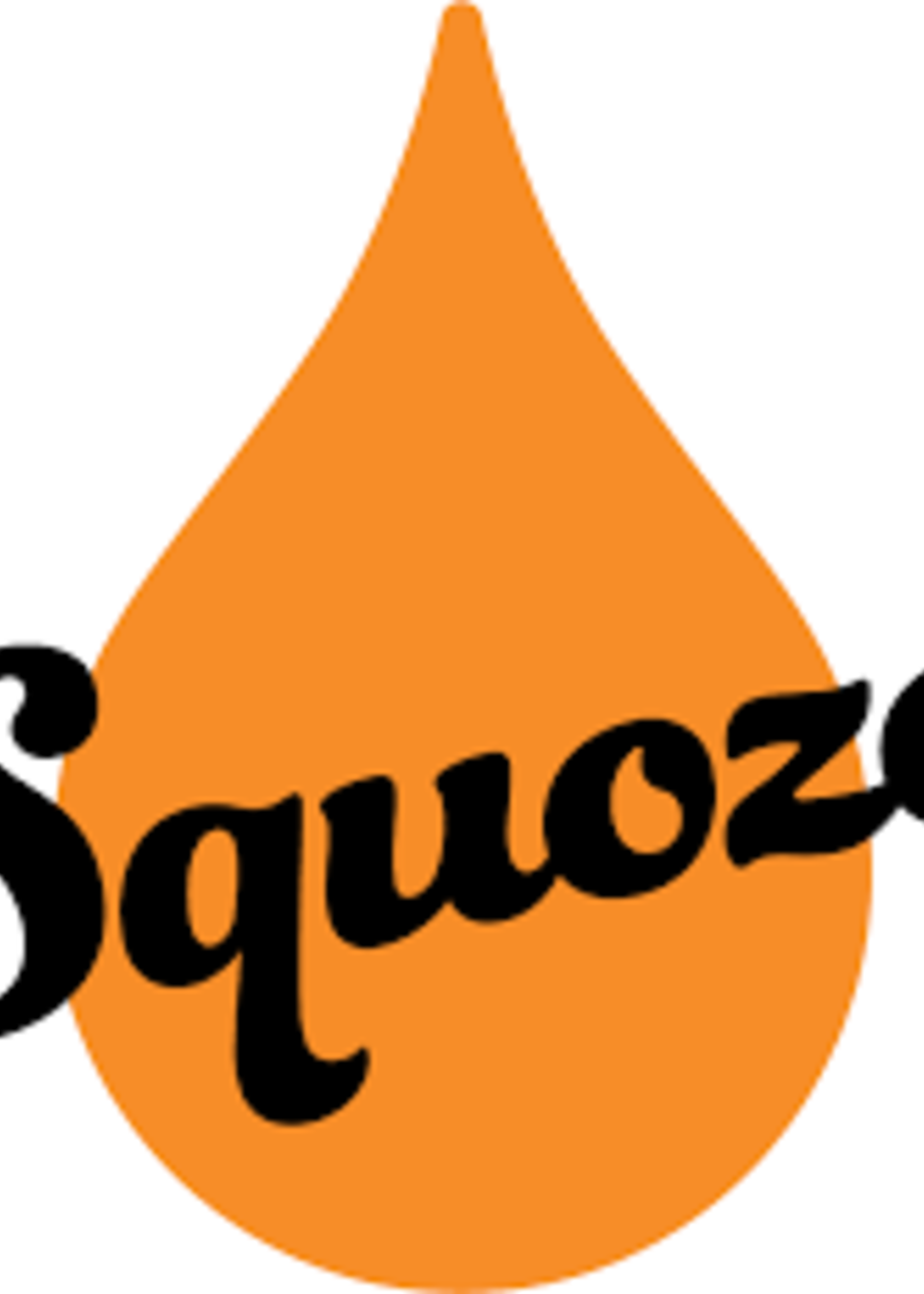Sociable Cider Werks Squoze Blaze Box Variety 10MG THC 12 can