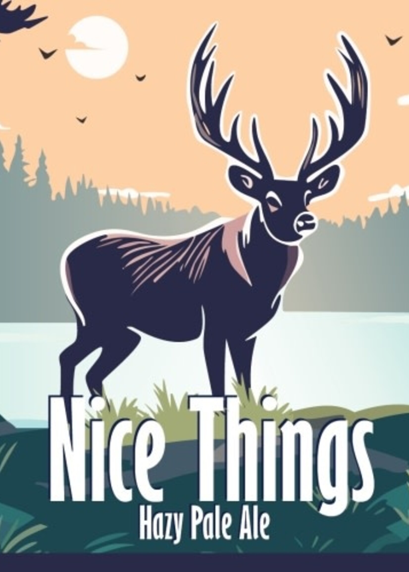 Central Waters Central Waters Nice Things Hazy Pale Ale 6 can