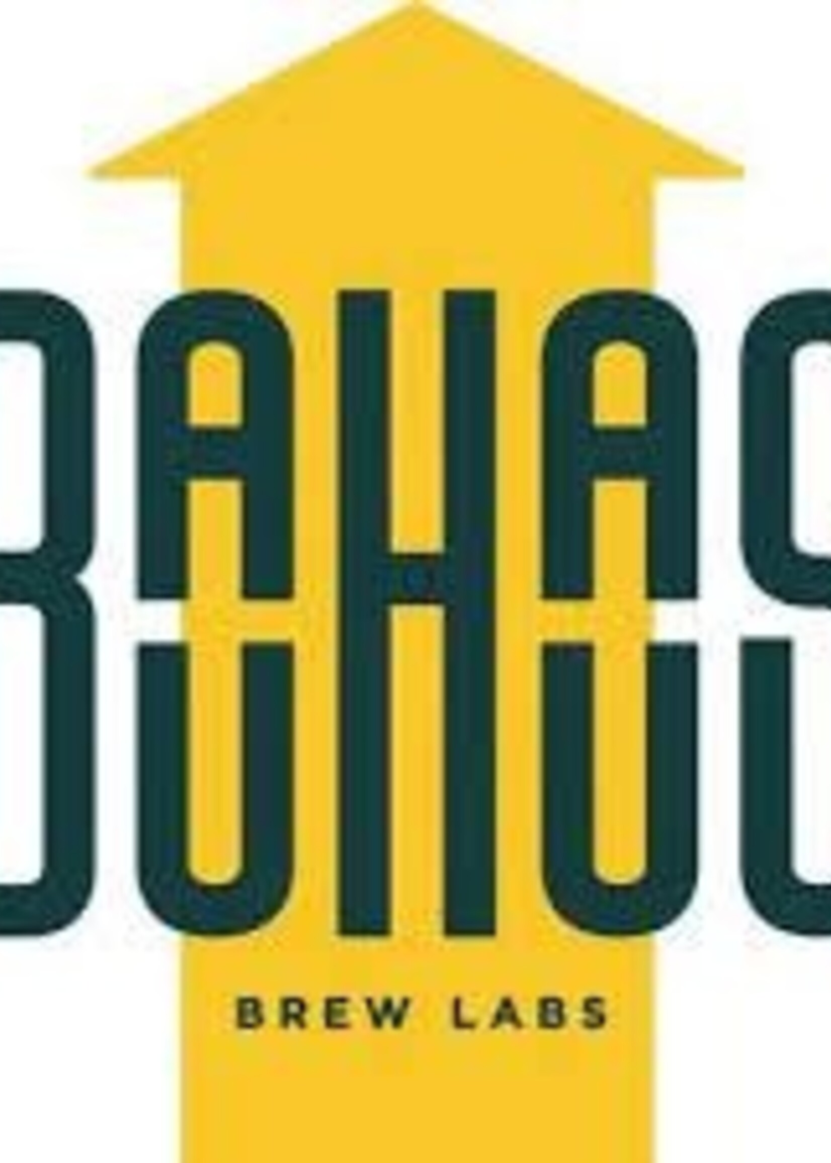 Bauhaus Bauhaus Patio Pack 12 can