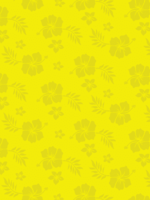 Head Flyer HeadFlyer Hawaiian Sophie Pineapple Pale Ale 4 can