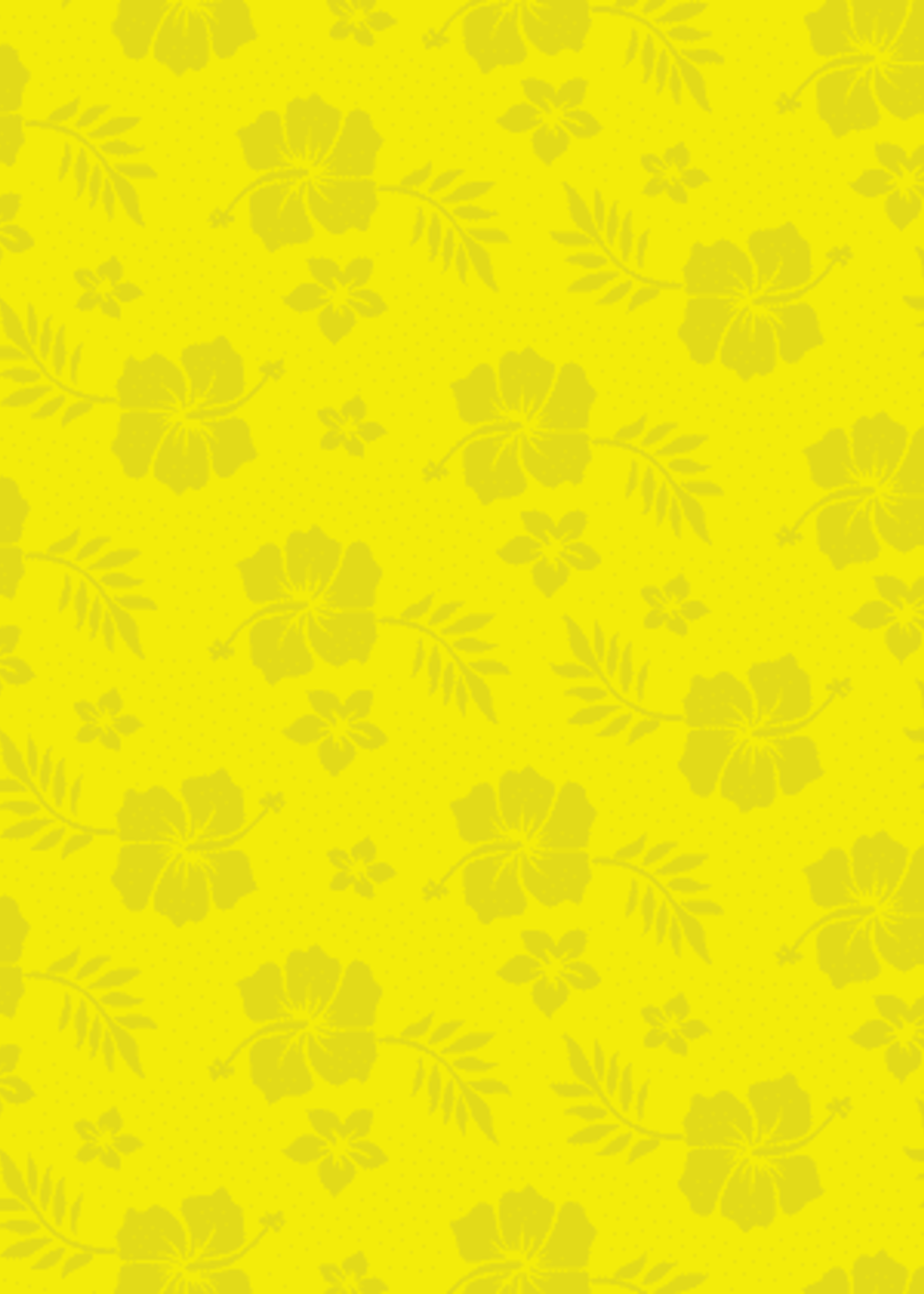 Head Flyer HeadFlyer Hawaiian Sophie Pineapple Pale Ale 4 can